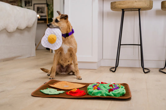 Snuffle Mat - Savory Sunrise | Hundleksak