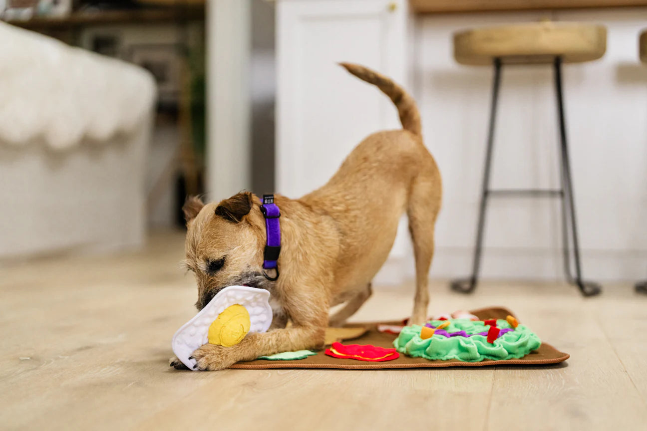 Snuffle Mat - Savory Sunrise | Hundleksak