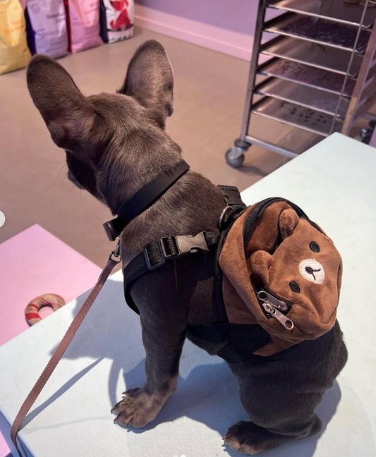 Teddy Backpack | Ryggsäck För Hund