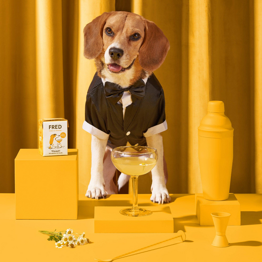 This month's dog box "Deli & Chill"