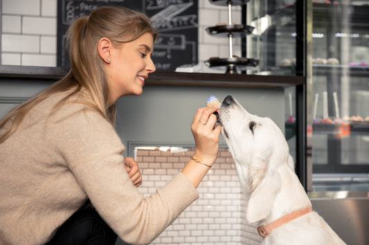 hundgodis för kräsna hundar