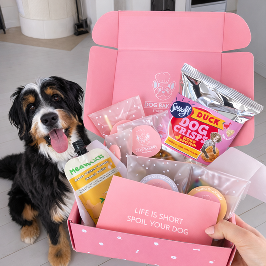 Hundpresent