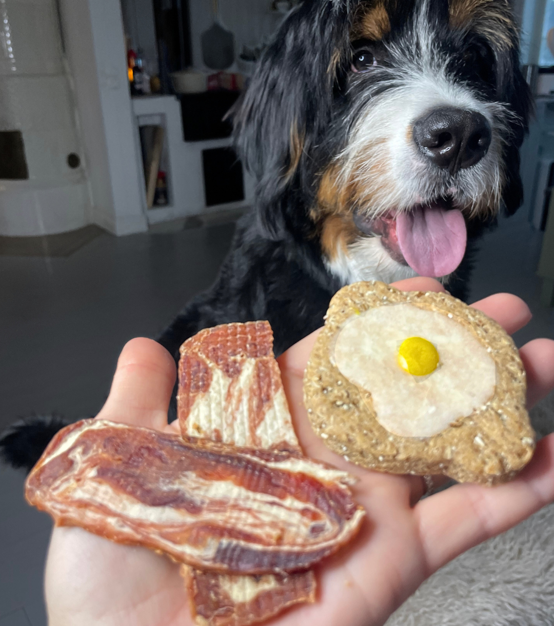 Hundgodis bcon n eggs