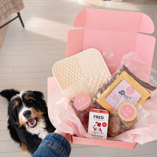Månadens hundbox April – Chark & Chill presentbox för hund
