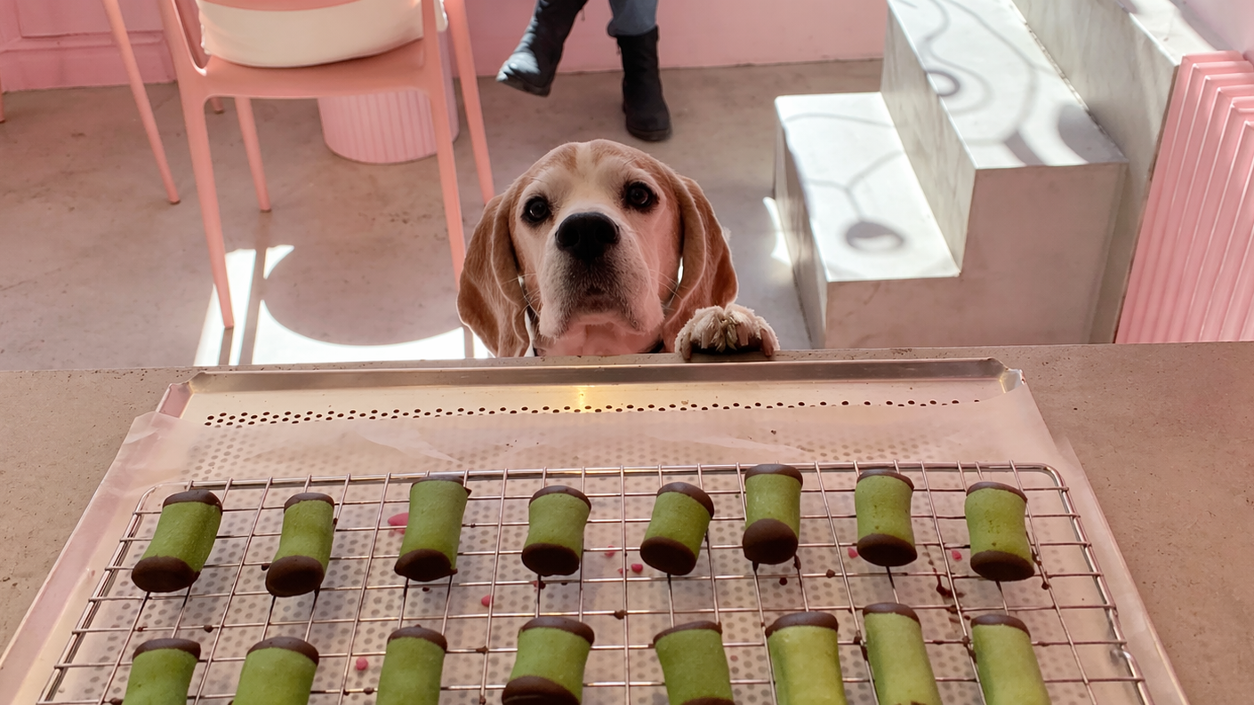 Handbakat hundgodis