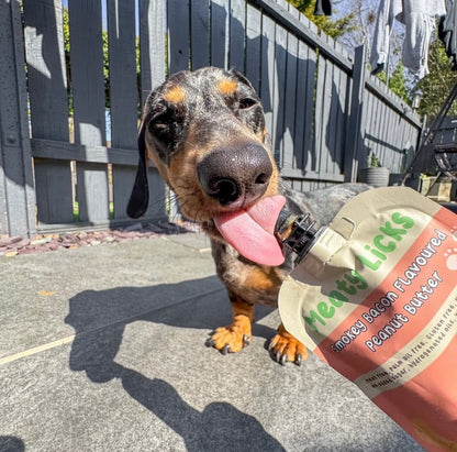 Meaty Licks | Hundgodis