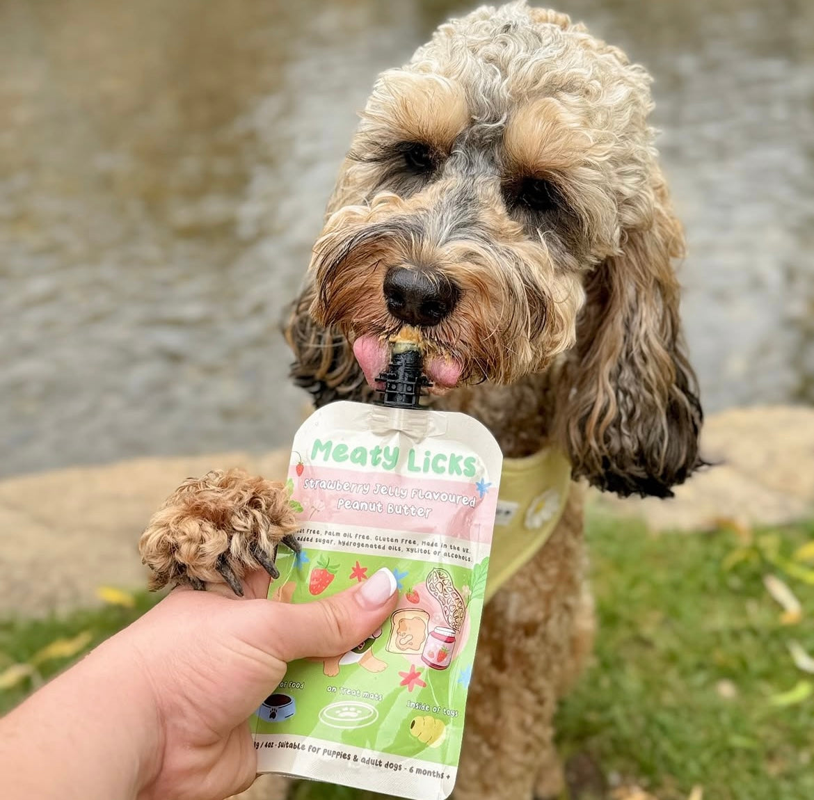 Meaty Licks | Hundgodis
