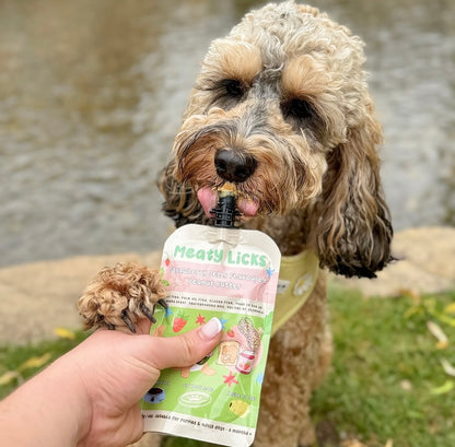 Meaty Licks | Hundgodis