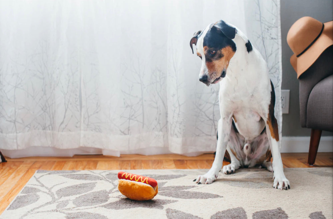 <transcy>Hot Dog</transcy>
