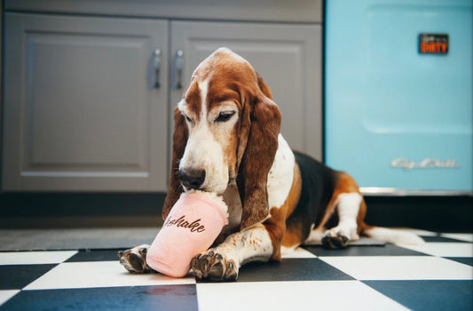 Milkshake | Hundleksak