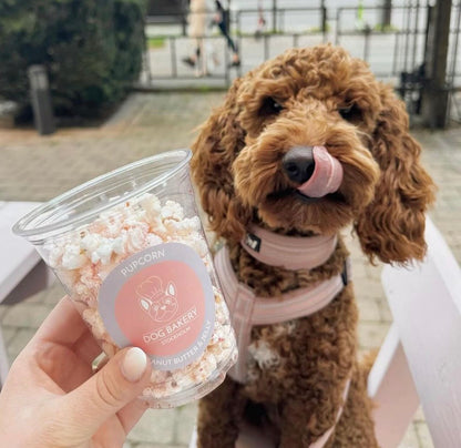 Netflix & Chill  Hunddrink & Pupcorn