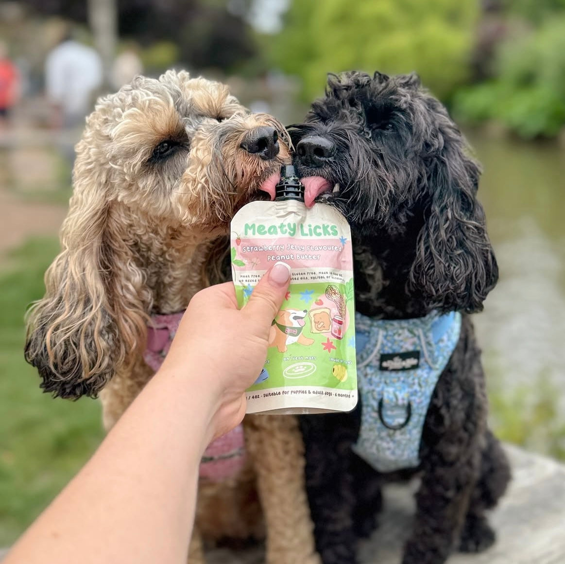 Meaty Licks hundgodis – slickbar hundsnack med smak