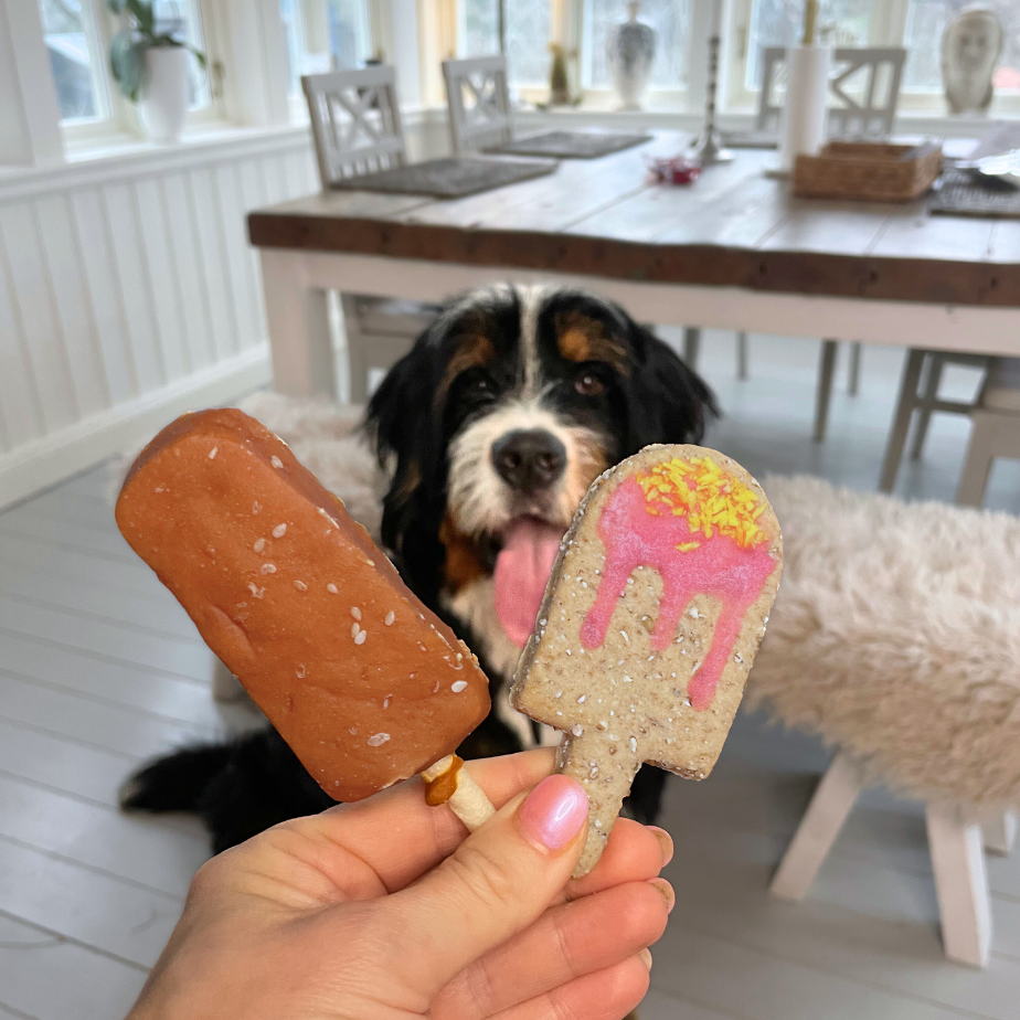 Duo Pops - 2 favourite ice creams | Dog treats