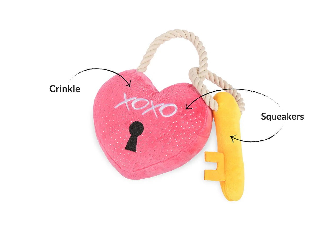 Love You A Lock | Hundleksak