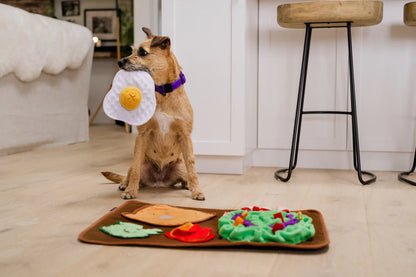 Snuffle Mat - Savory Sunrise  | Hundleksak