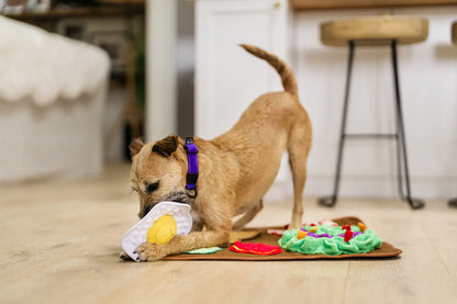 Snuffle Mat - Savory Sunrise  | Hundleksak