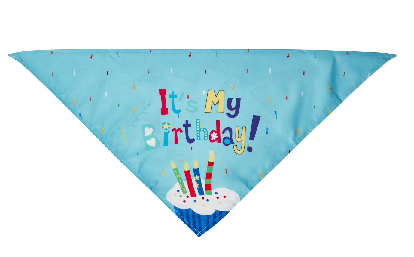 Birthday Bandana