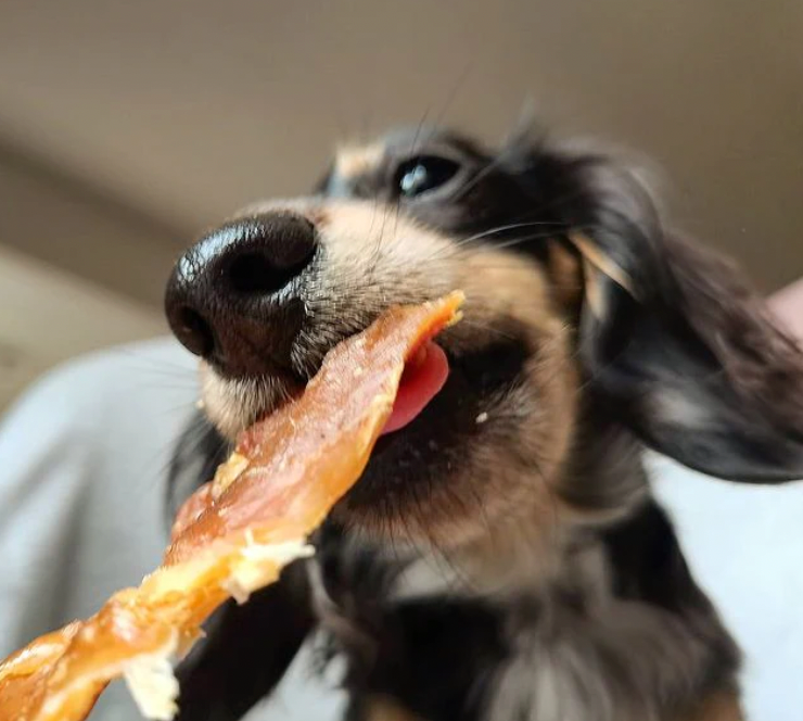 Chicken Jerky | Hundgodis