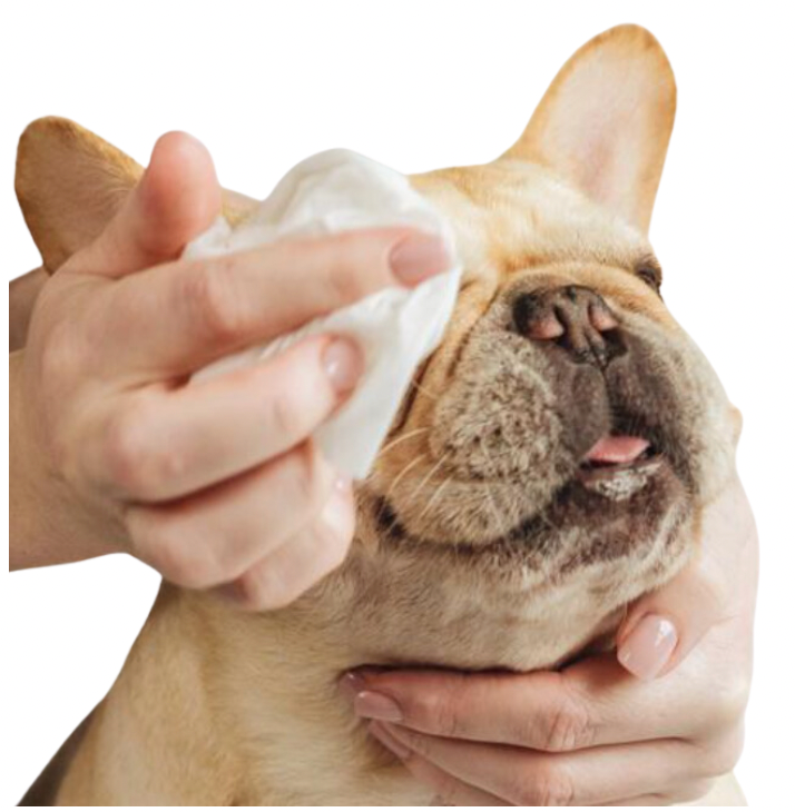 Grooming Wipes