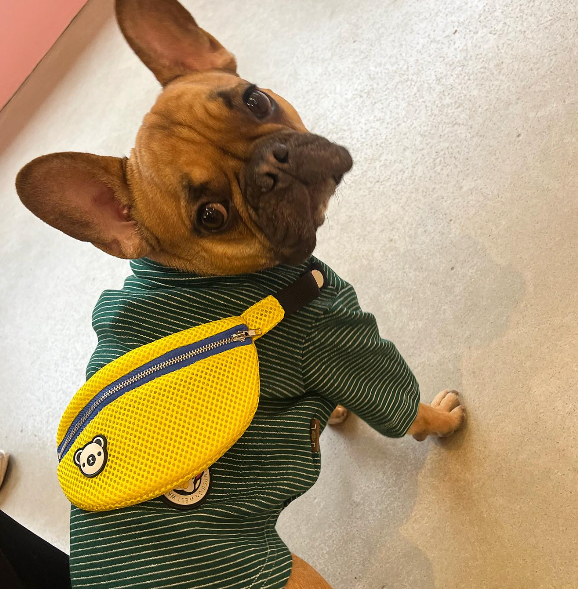 Snack Bag Sweater