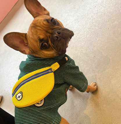 Snack Bag Sweater