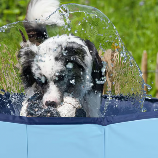 Hundpool
