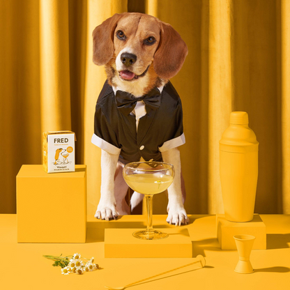 This month's dog box "Deli & Chill"