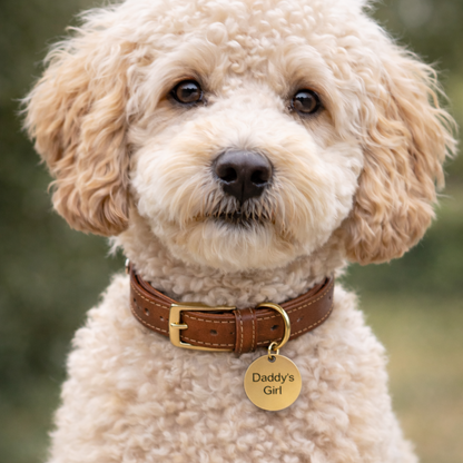 Dog Tag - Med olika budskap