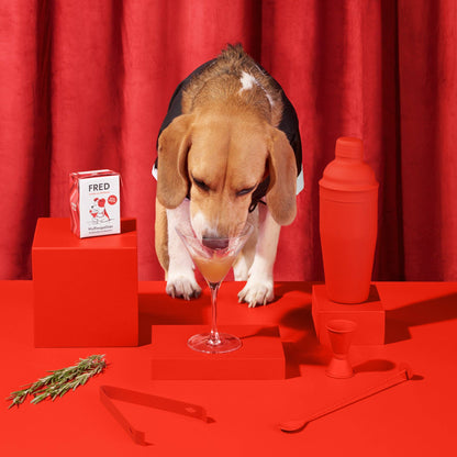 Hunddrink Wuffmopolitan