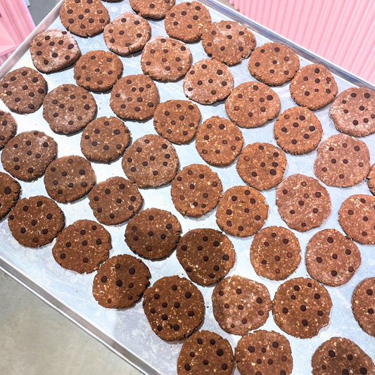 Chocolate Chip Cookies – handbakat hundgodis inspirerat av chokladkakor