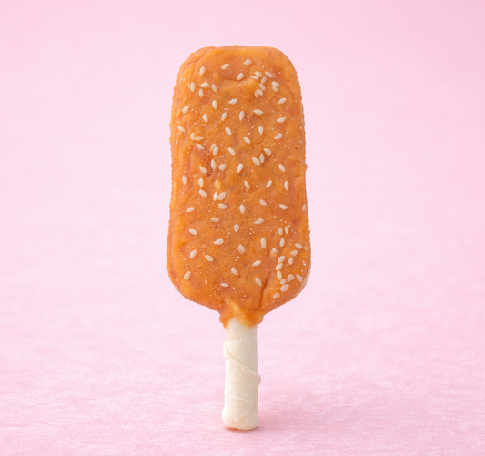 Chicken Popsicle – tugg för hund formad som en glass