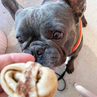 – handbakade kanelbullar som hundgodis