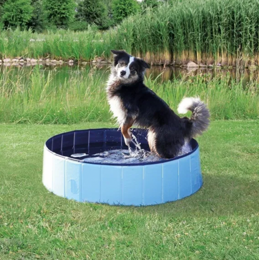 Dog pool