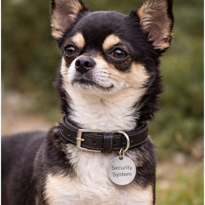 Dog Tag - Med olika budskap