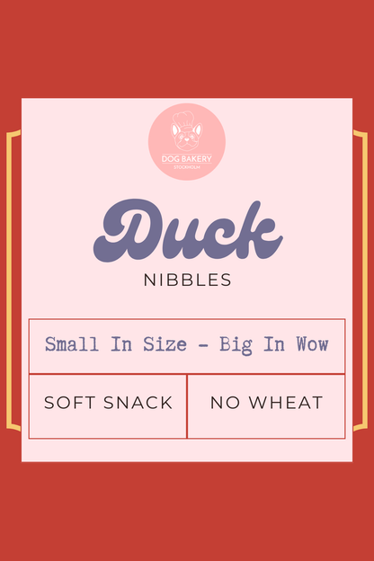 Duck Nibbles – storpack hundgodis med ankbitar