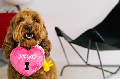 Love You A Lock | Hundleksak