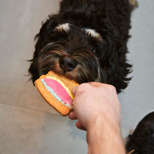 Street Food hundgodis – handbakade hundkakor närbild
