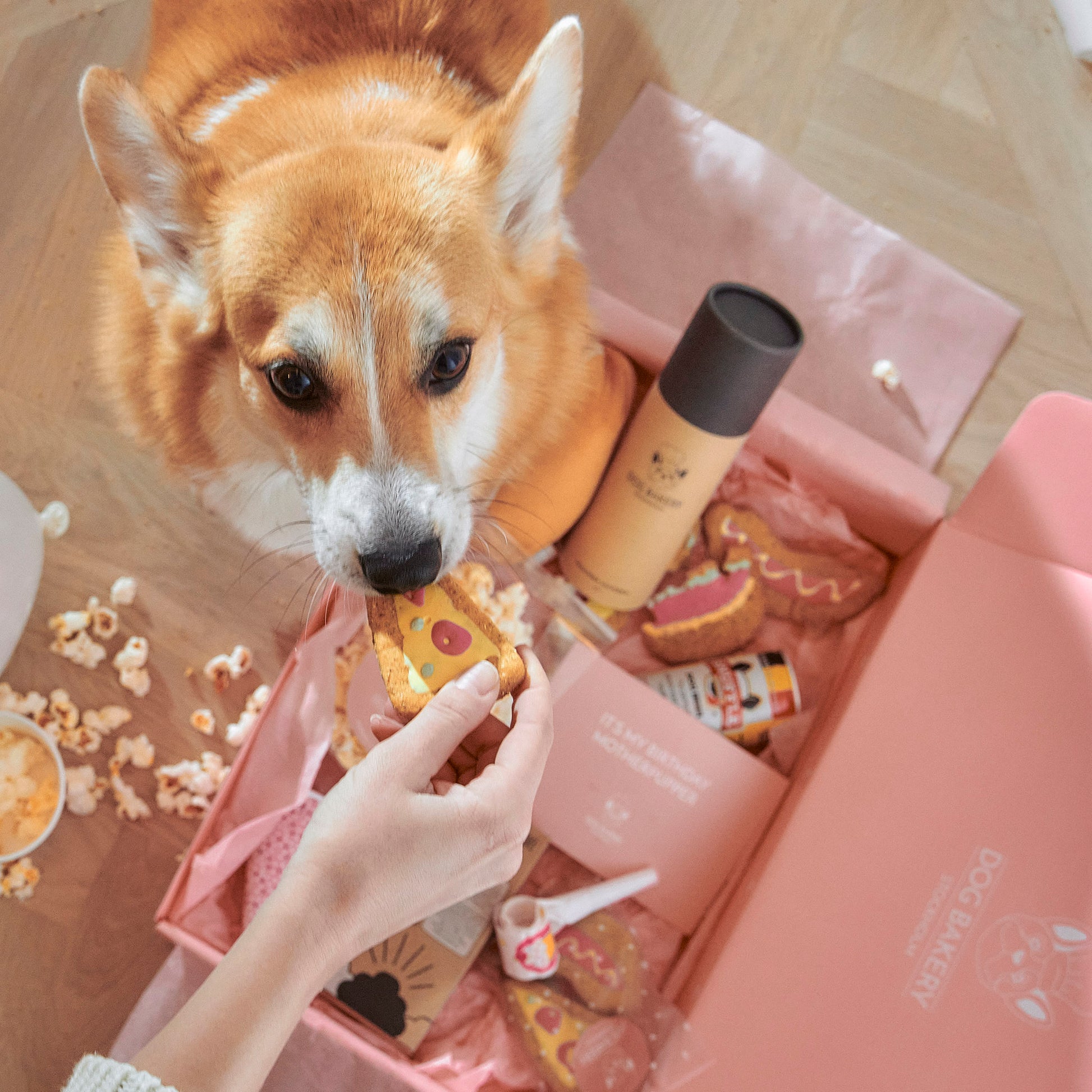 Hundbox födelsedag – grattis presentbox med godis och leksak

