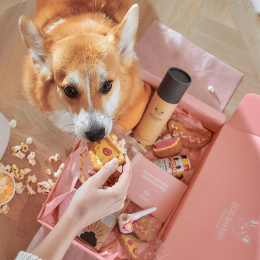 Hundbox födelsedag – grattis presentbox med godis och leksak

